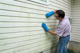 Best Siding Painting and Refinishing  in Dupo, IL